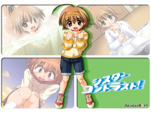 Картинка аниме sister princess