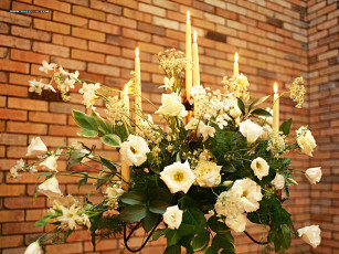 обоя цветы, букеты, композиции