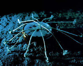 Картинка разное Часы часовые механизмы