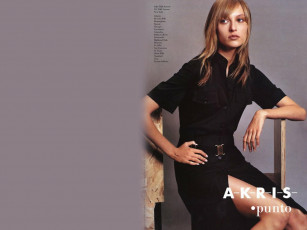 Картинка akris бренды