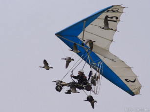 Картинка авиация другое