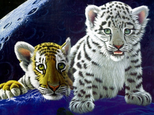 обоя фэнтези, william, schimmel