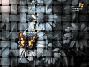 Картинка компьютеры windows xp