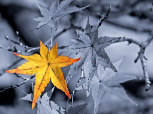 Картинка разное