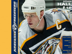 Картинка shinoda спорт nhl