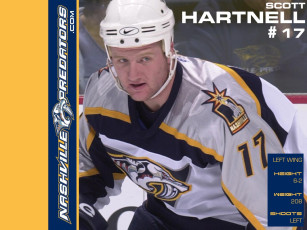 Картинка shinoda спорт nhl