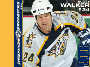 Картинка shinoda спорт nhl