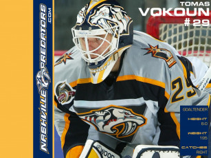 обоя shinoda, спорт, nhl