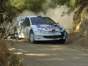 Картинка спорт авторалли