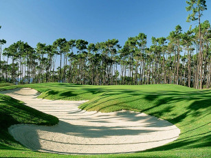 Картинка спорт гольф