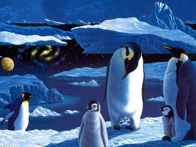 Обои картинки фото фэнтези, william, schimmel