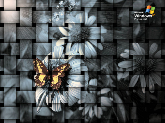 Обои картинки фото компьютеры, windows, xp