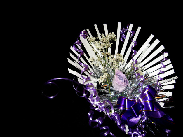 Обои картинки фото разное