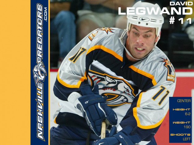 Обои картинки фото shinoda, спорт, nhl