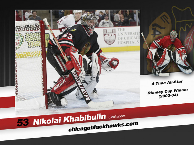 Обои картинки фото shinoda, спорт, nhl