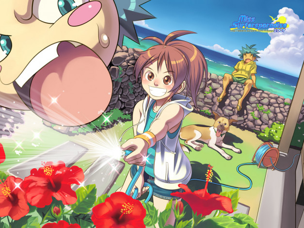 Обои картинки фото аниме, miss, surfersparadise