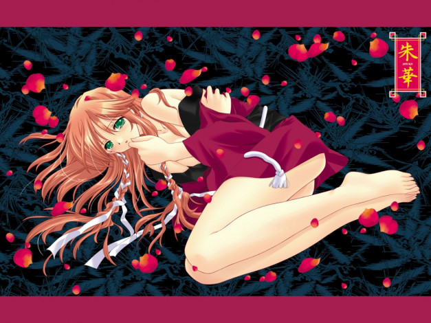 Обои картинки фото аниме, *unknown, другое