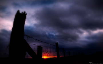 Картинка природа