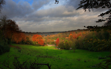 Картинка природа пейзажи