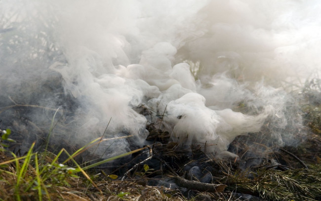 Обои картинки фото природа