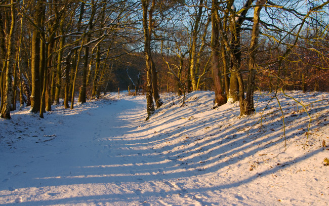 Обои картинки фото природа