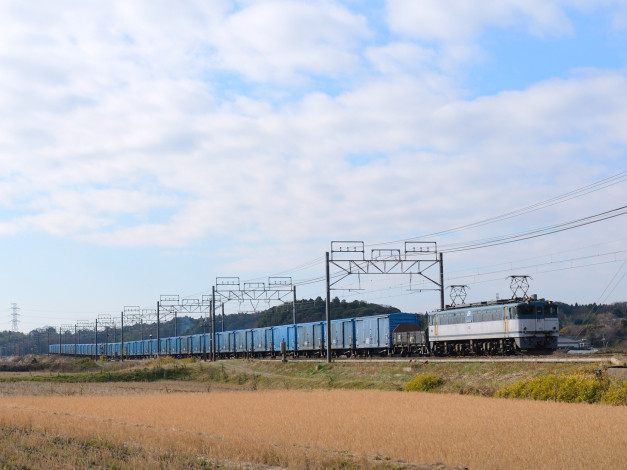 Обои картинки фото техника, поезда, поезд