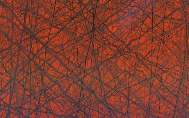 Обои картинки фото 3д, графика, textures, текстуры, узор, цвета