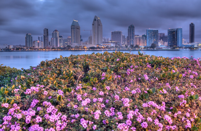 Обои картинки фото san diego, города, сан-диего , сша, луг, панорама, город, цветы, вода