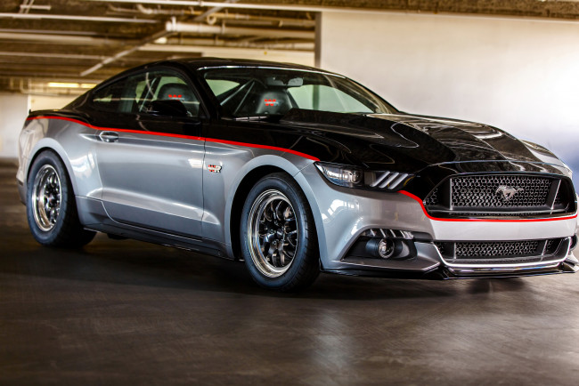 Обои картинки фото 2014 ford mustang , watson racing, автомобили, mustang, watson, ford, тюнинг