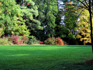 Картинка природа парк осень