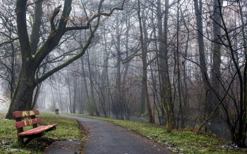 Картинка природа парк город скамья весна