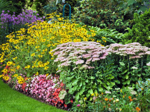 Картинка цветы разные+вместе цветник