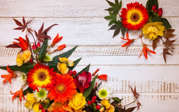 Картинка цветы букеты +композиции leaves композиция wood осень autumn листья flowers frame floral