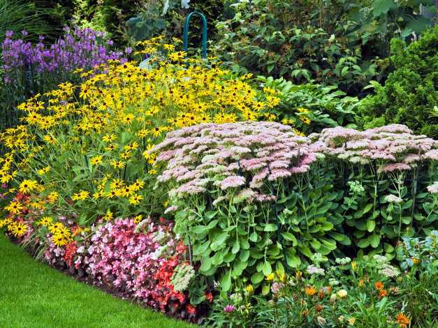 Обои картинки фото цветы, разные вместе, цветник