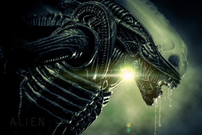 Обои картинки фото фэнтези, Чужой , alien, чужой