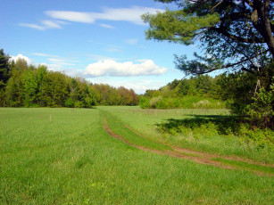 Картинка природа дороги дорога полевая