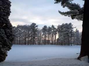 Картинка природа зима снег