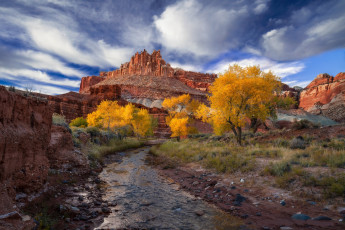 Картинка природа реки озера простор