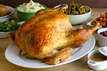 Картинка еда мясные+блюда индейка