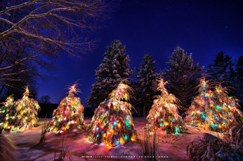 Картинка календари праздники +салюты елка гирлянда снег зима