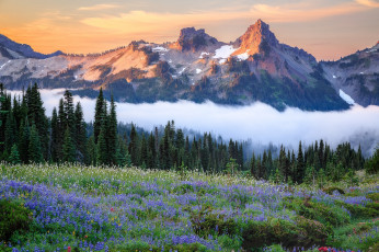 Картинка природа горы простор