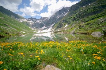 Картинка природа луга простор