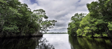 Картинка природа реки озера река