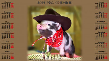 Картинка календари праздники +салюты поросенок веревка платок шляпа