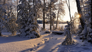 Картинка природа зима снег