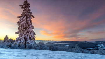 Картинка природа зима снег