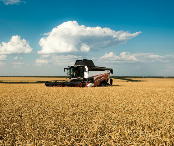 Обои картинки фото техника, комбайны, пшеница, поле, сельхозтехника, ростсельмаш