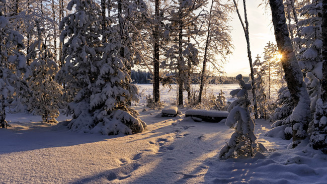 Обои картинки фото природа, зима, снег