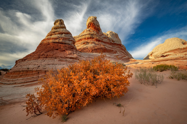 Обои картинки фото природа, пустыни, простор