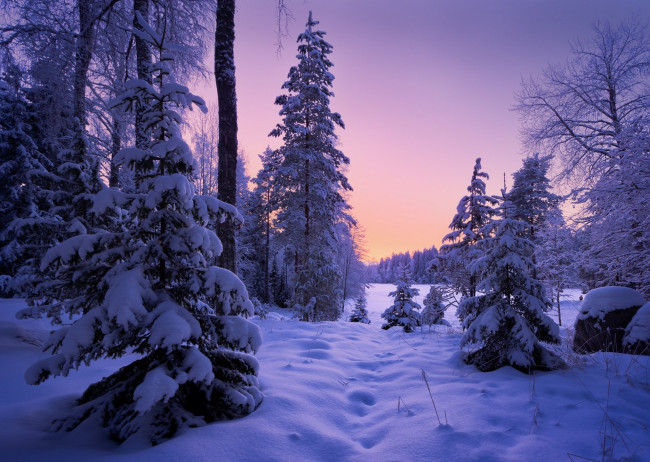 Обои картинки фото природа, зима, простор